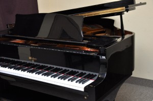 Use Safe & Sound Piano Movers in Mesa, Az for all your Arizona piano moving needs.